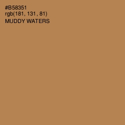 #B58351 - Muddy Waters Color Image