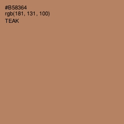 #B58364 - Teak Color Image