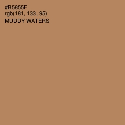 #B5855F - Muddy Waters Color Image