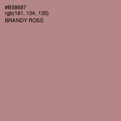 #B58687 - Brandy Rose Color Image