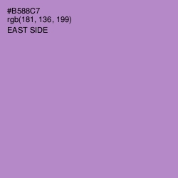 #B588C7 - East Side Color Image