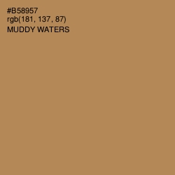 #B58957 - Muddy Waters Color Image