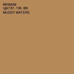 #B58A58 - Muddy Waters Color Image