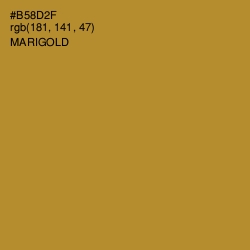 #B58D2F - Marigold Color Image