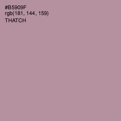 #B5909F - Thatch Color Image