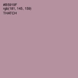 #B5919F - Thatch Color Image