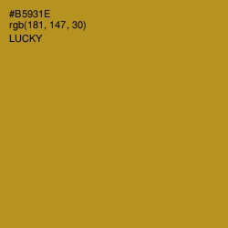 #B5931E - Lucky Color Image