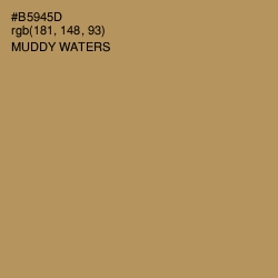 #B5945D - Muddy Waters Color Image