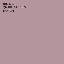 #B5959D - Thatch Color Image