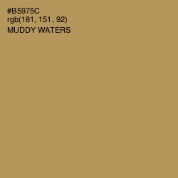#B5975C - Muddy Waters Color Image