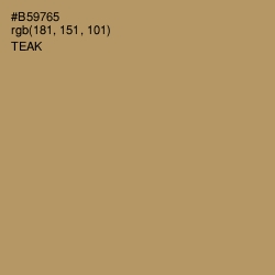 #B59765 - Teak Color Image