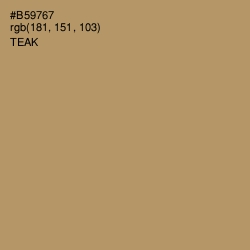 #B59767 - Teak Color Image