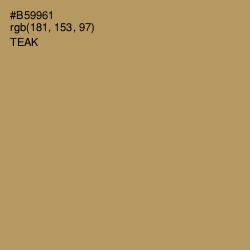 #B59961 - Teak Color Image