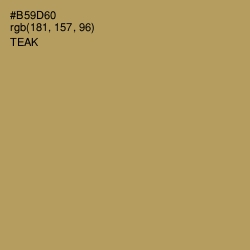 #B59D60 - Teak Color Image