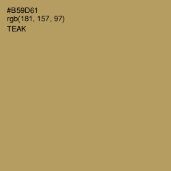 #B59D61 - Teak Color Image