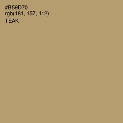 #B59D70 - Teak Color Image