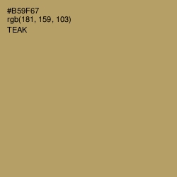 #B59F67 - Teak Color Image