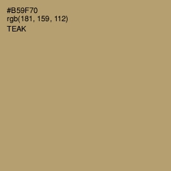 #B59F70 - Teak Color Image