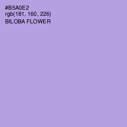 #B5A0E2 - Biloba Flower Color Image