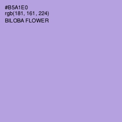 #B5A1E0 - Biloba Flower Color Image