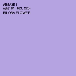 #B5A3E1 - Biloba Flower Color Image