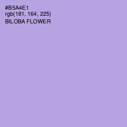 #B5A4E1 - Biloba Flower Color Image