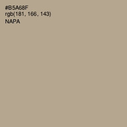 #B5A68F - Napa Color Image