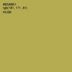 #B5AB51 - Husk Color Image