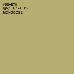 #B5AE70 - Mongoose Color Image