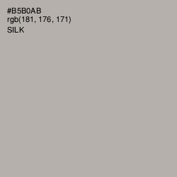 #B5B0AB - Silk Color Image