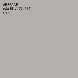 #B5B0AE - Silk Color Image