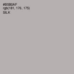 #B5B0AF - Silk Color Image
