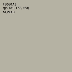 #B5B1A3 - Nomad Color Image