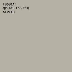 #B5B1A4 - Nomad Color Image