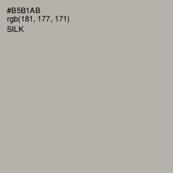 #B5B1AB - Silk Color Image