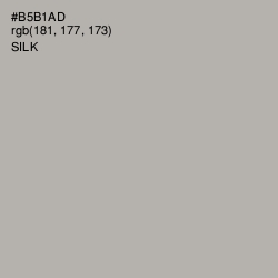 #B5B1AD - Silk Color Image