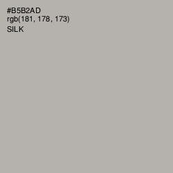 #B5B2AD - Silk Color Image