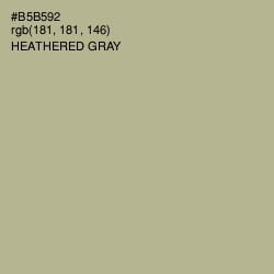 #B5B592 - Heathered Gray Color Image