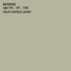 #B5B59E - Heathered Gray Color Image