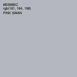 #B5B8BC - Pink Swan Color Image