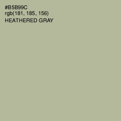 #B5B99C - Heathered Gray Color Image