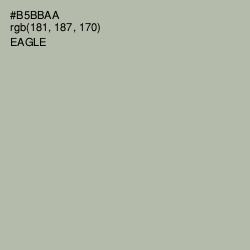 #B5BBAA - Eagle Color Image