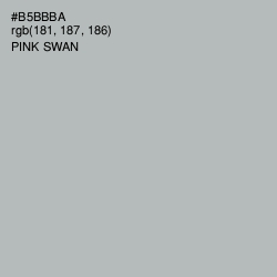 #B5BBBA - Pink Swan Color Image