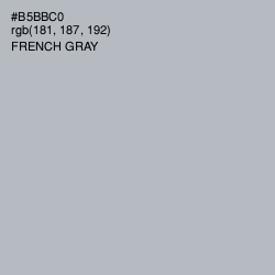 #B5BBC0 - French Gray Color Image