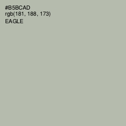 #B5BCAD - Eagle Color Image