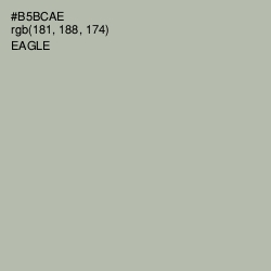 #B5BCAE - Eagle Color Image