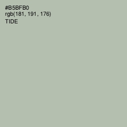 #B5BFB0 - Tide Color Image