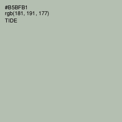 #B5BFB1 - Tide Color Image