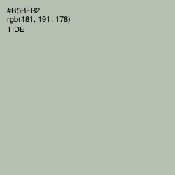 #B5BFB2 - Tide Color Image