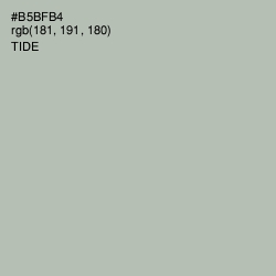 #B5BFB4 - Tide Color Image